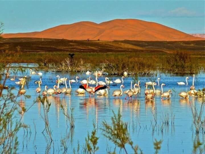 Готель Maison Bedouin Мерзуга Екстер'єр фото