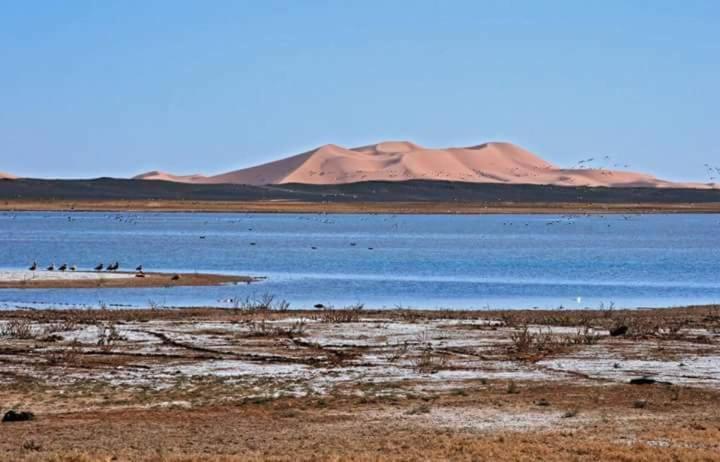 Готель Maison Bedouin Мерзуга Екстер'єр фото
